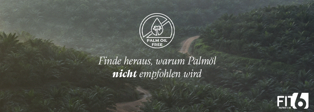 Palmöl-Warum raten wir von seinem Verzehr ab?