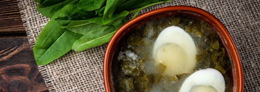 Sauerampfer-Suppe